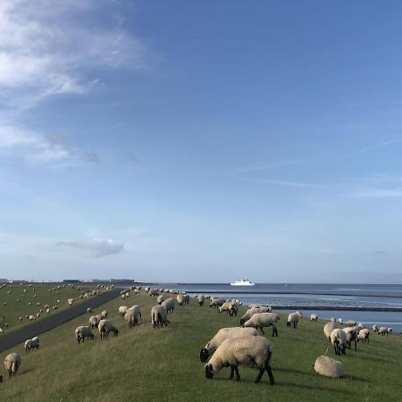 Wind Und Meer - Traumhaft An Der Nordsee Норддайх Экстерьер фото