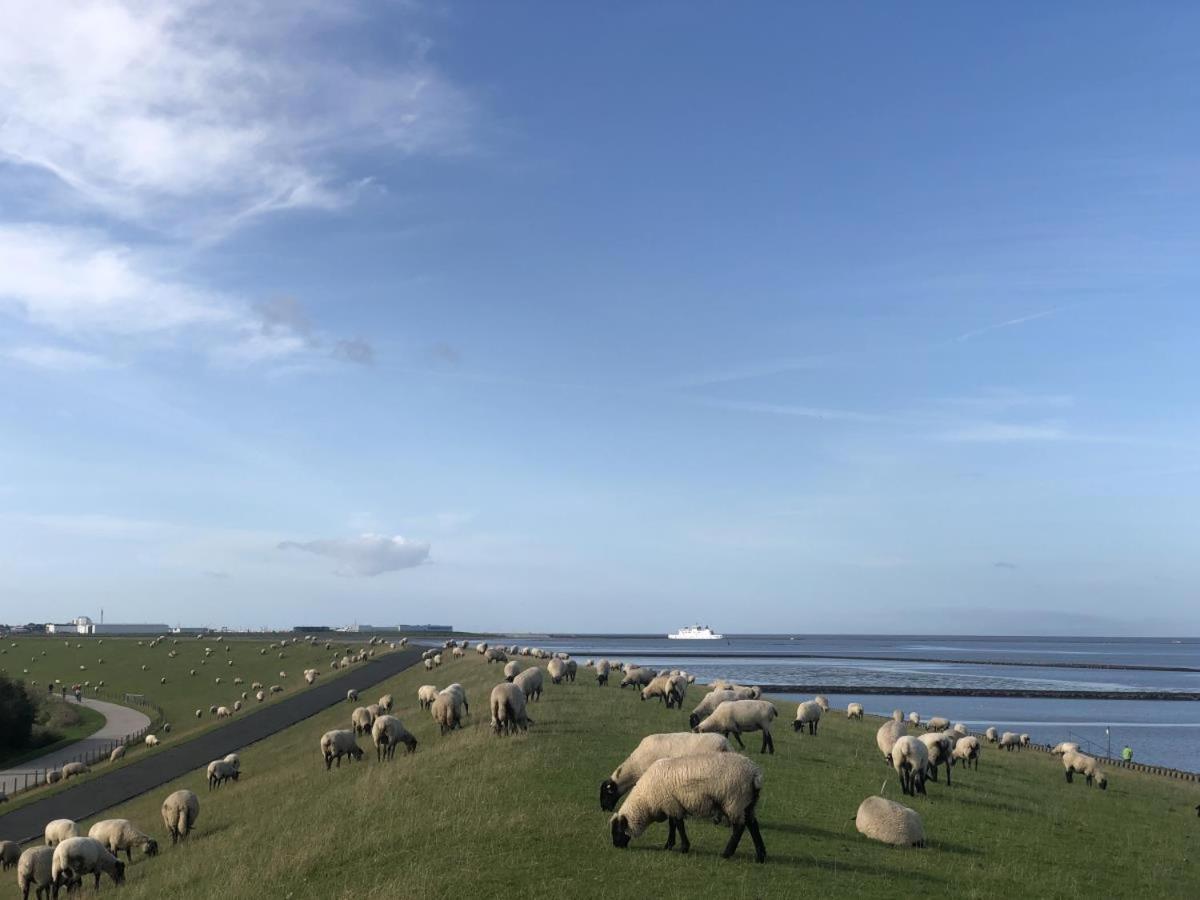 Wind Und Meer - Traumhaft An Der Nordsee Норддайх Экстерьер фото